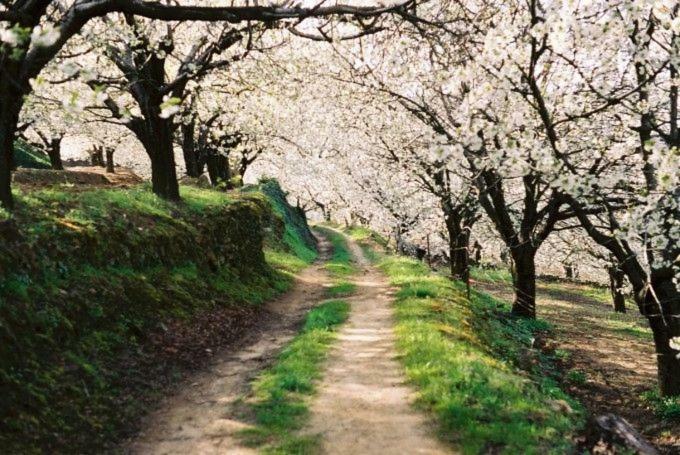 Apartamento Rural San Jorge Bajo นาวากอนเซโค ภายนอก รูปภาพ